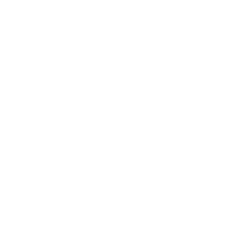 NOHGA HOTEL UENO TOKYO