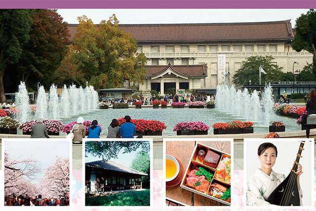 
                       [Tokyo National Museum and NOHGA Collaboration Plan No.5]  ~Cherry blossom viewing edition~
                      