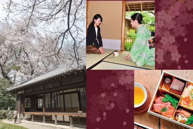 【東京国立博物館  ×  NOHGA　コラボレーション企画  第7弾】桜・アート・食を楽しむプレミアムな文化体験  ～お茶席付～